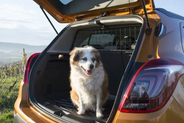 Bagażnik Opel Mokka: Jaką ma pojemność i czy jest praktyczny na co dzień?